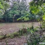 Prime 0.5 acre land for sale in karen