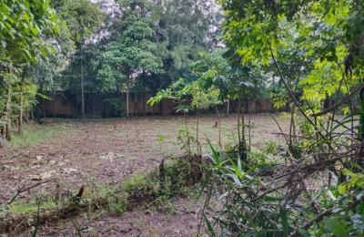 Prime 0.5 acre land for sale in karen
