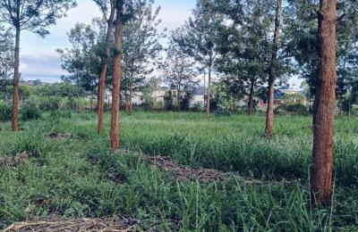 Land - Ruiru Mugutha